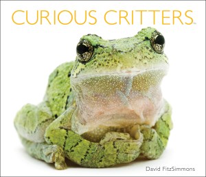 Courtesy of David FitzSimmons