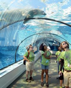 Photo courtesy of The Detroit Zoo